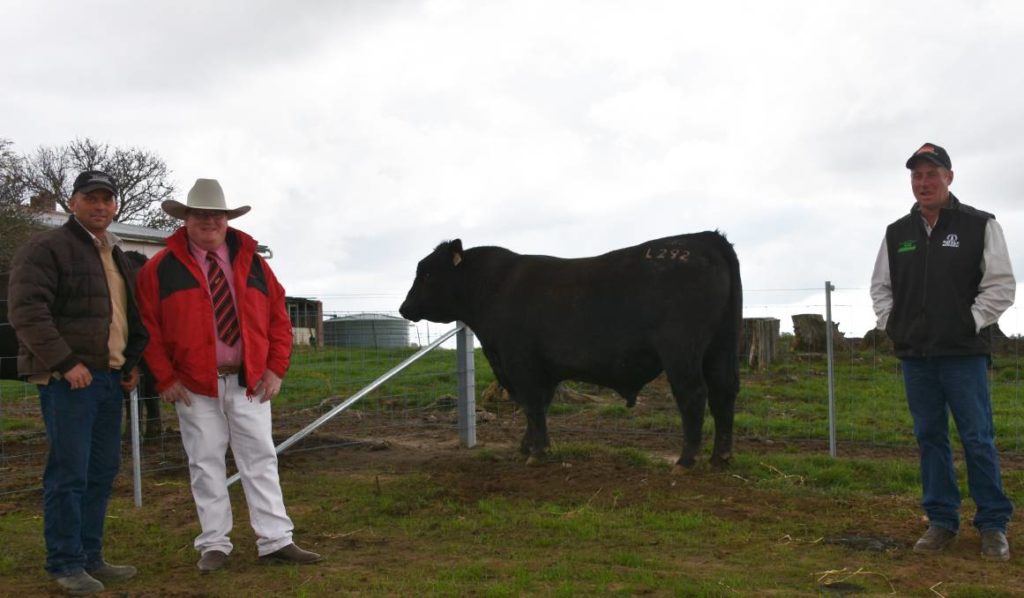 Purchaser of $16,000 top price bull Shane Piper, "Fernhill", Adjungbilly; with agent Tim McKean, Elders Wagga Wagga; and Crawford Angus' Adam Graham.